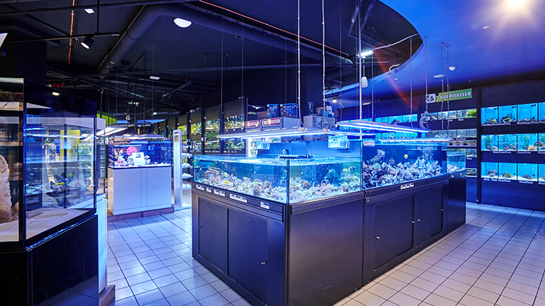 Weilamrhein Header Mobile 2